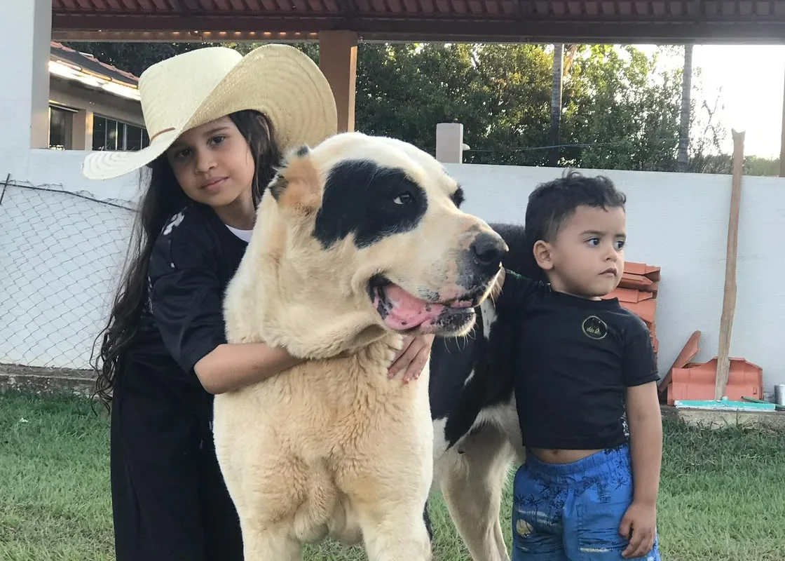 Crianças abraçadas a um Alabai adulto